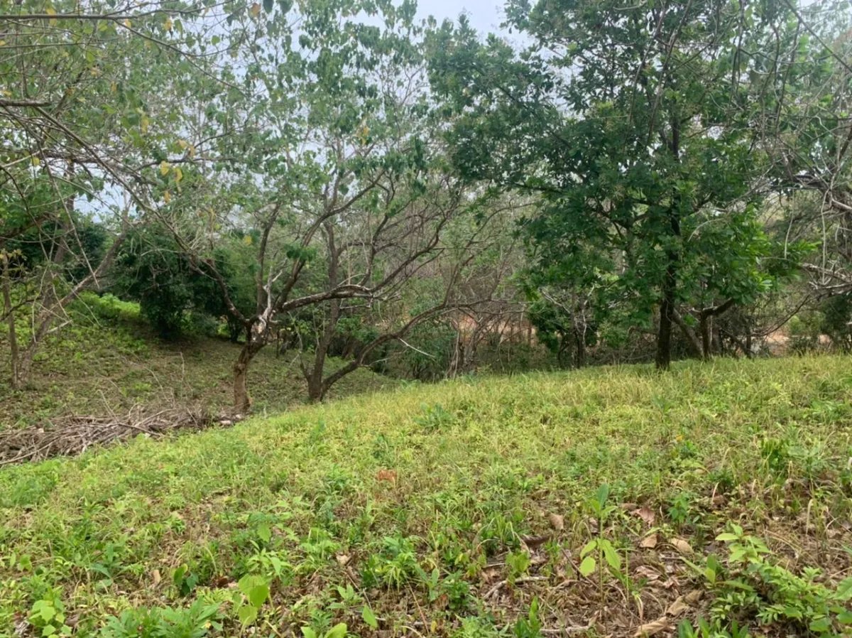 Lote en venta en santa catalina, veraguas. de 3200 metros cuadrados.