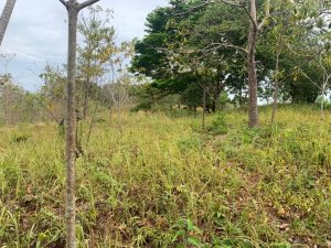 138946 - Santa catalina - lots