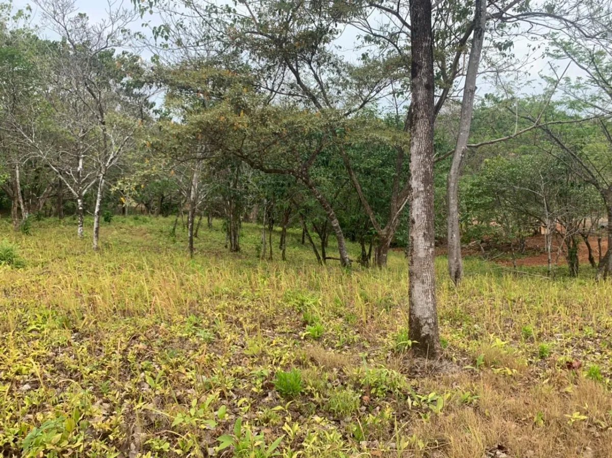Lote en venta en santa catalina, veraguas. de 6700 metros cuadrados