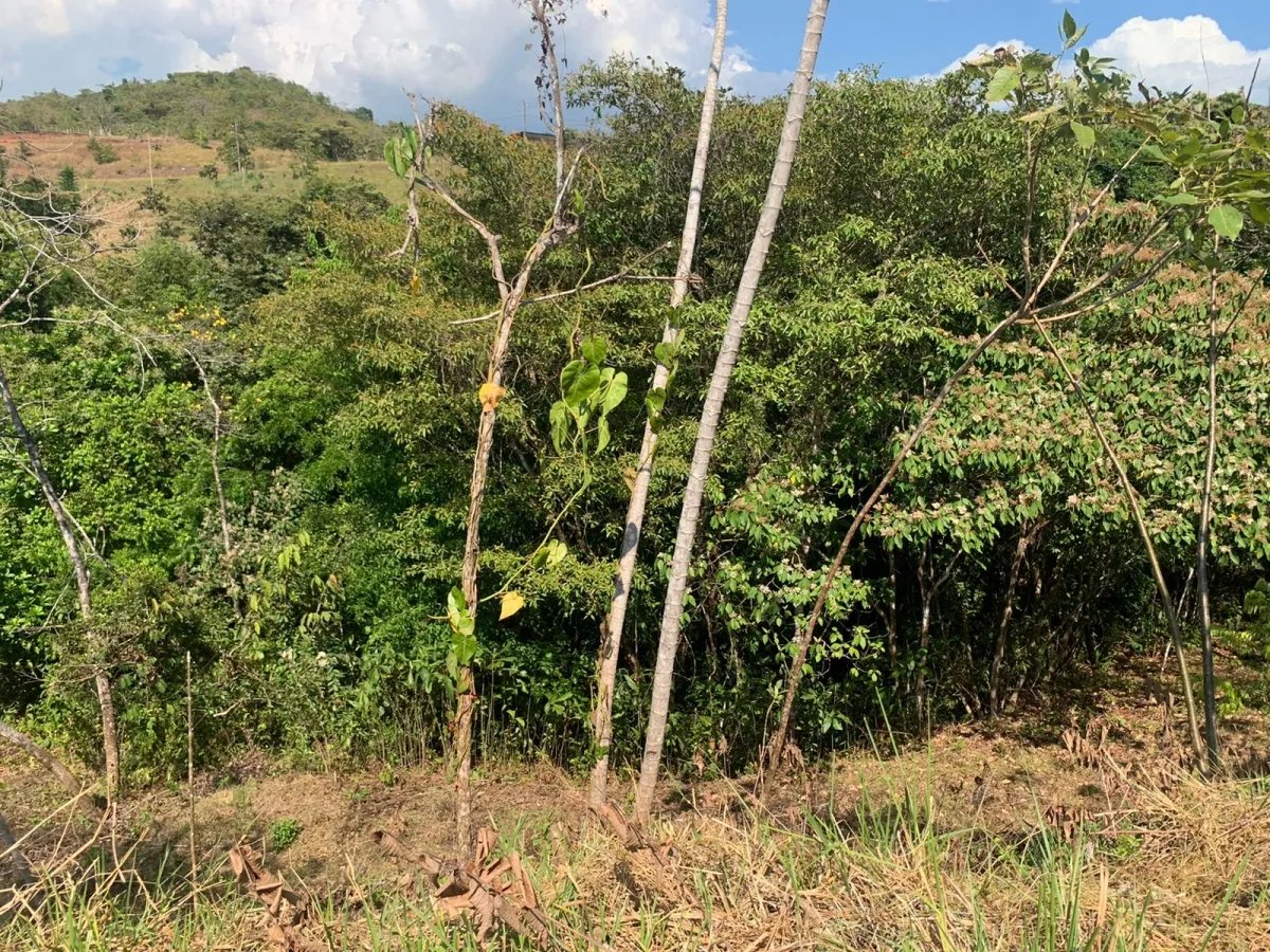 Lote en venta en comunidad residencial, torio hills, veraguas.