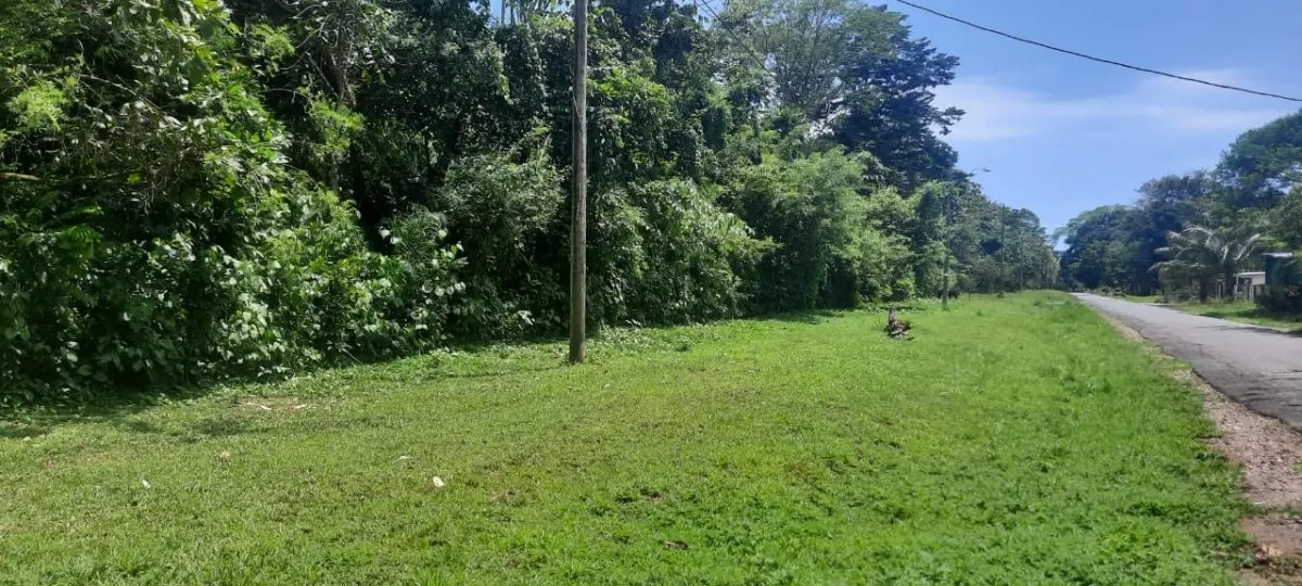 Terreno grande y plano en las lajas, a 10 minutos de la playa