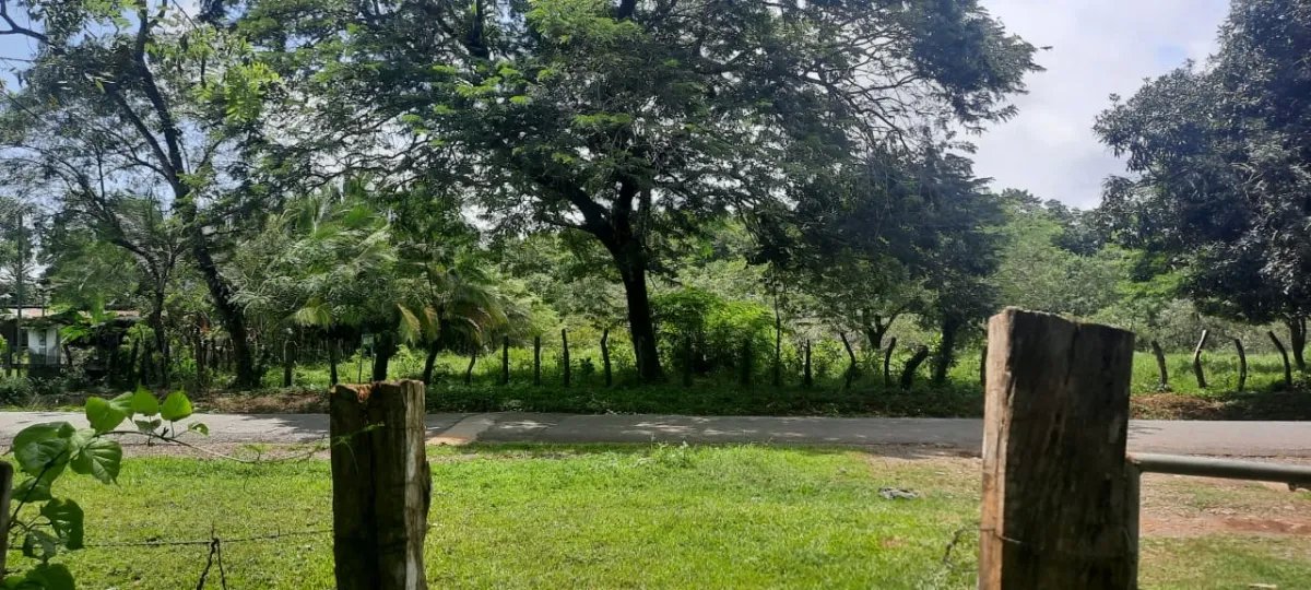 Terreno grande y plano en las lajas, a 10 minutos de la playa