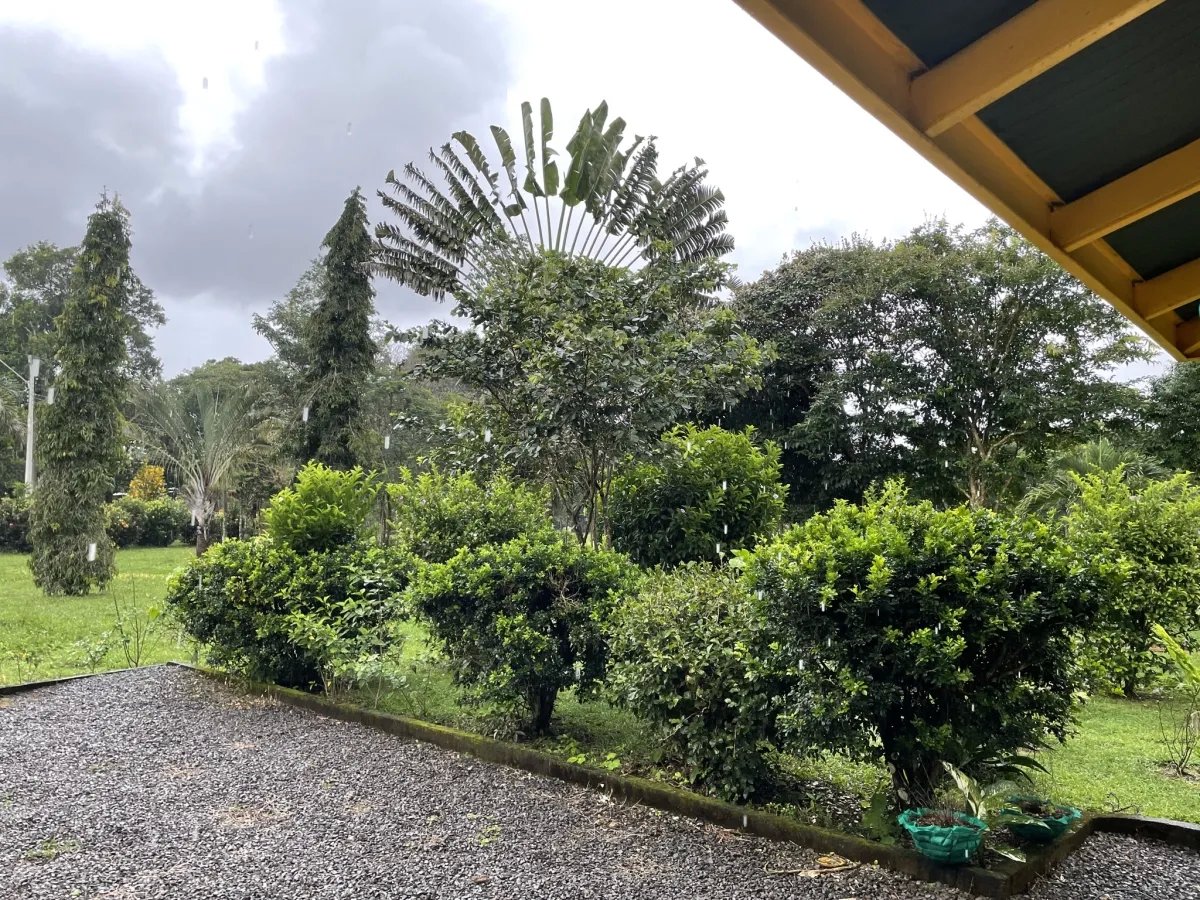 Alegre casa familiar en un gran terreno cerca de dolega