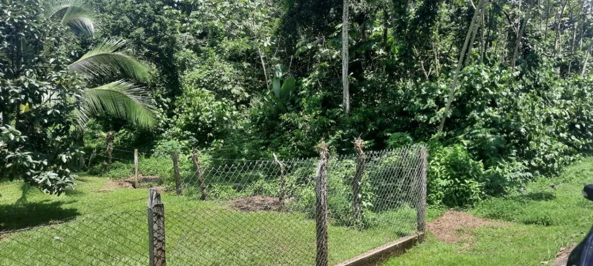 Lote tranquilo pero céntrica en las lajas, a 10 minutos de la playa