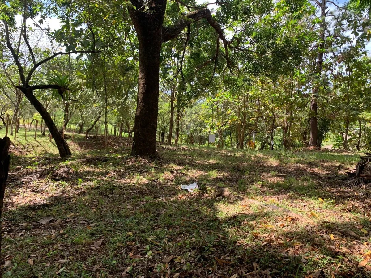 Lote de casa en venta en santa catalina