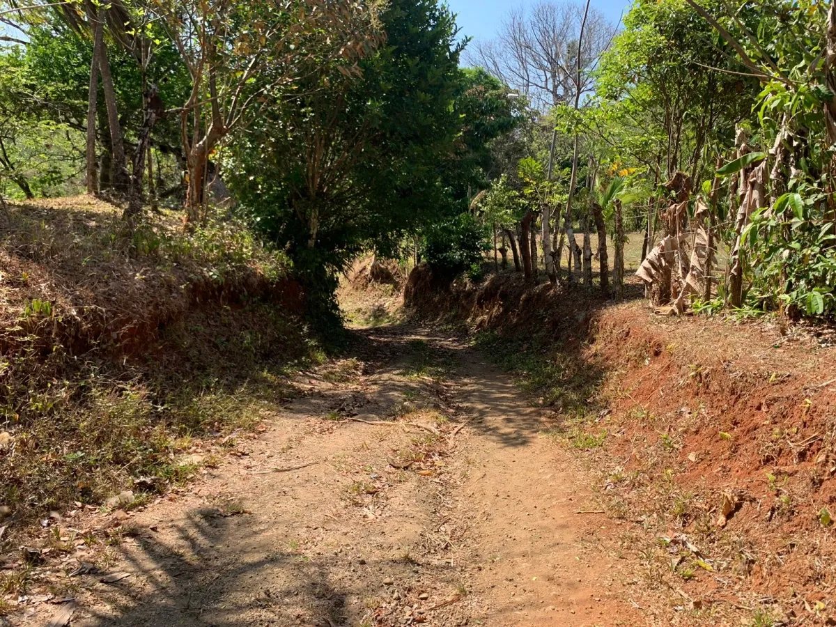Se vende propiedad de 800 metros cuadrados, frente al mar. playa lagartero, santa catalina