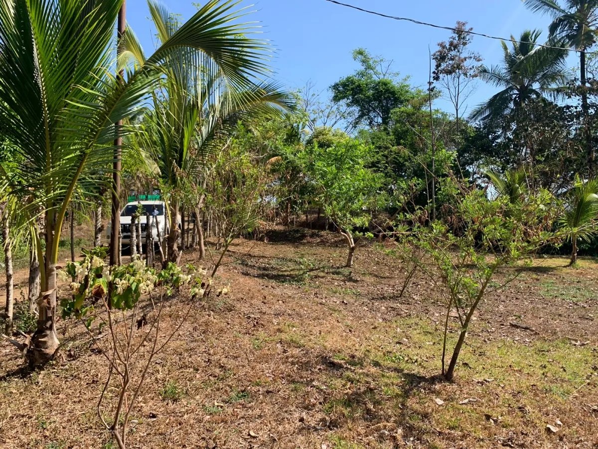 Se vende propiedad de 800 metros cuadrados, frente al mar. playa lagartero, santa catalina