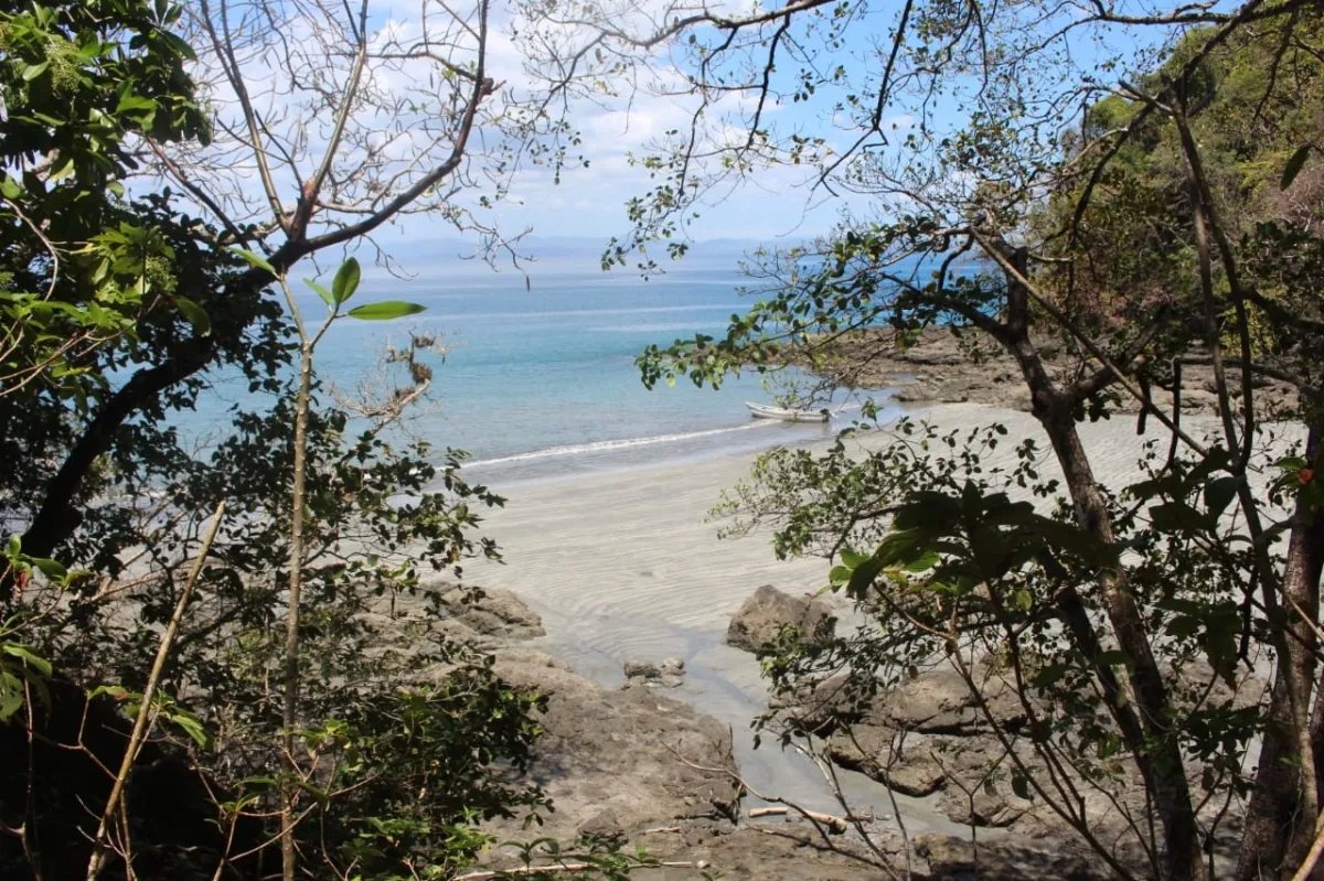 Propiedad en venta de casi 7 hectáreas (casi 17.29 acres), isla de cebaco, frente al mar. veraguas.