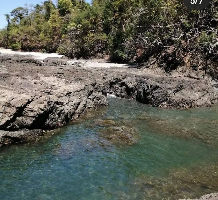Propiedad en venta de casi 7 hectáreas (casi 17.29 acres), isla de cebaco, frente al mar. veraguas.