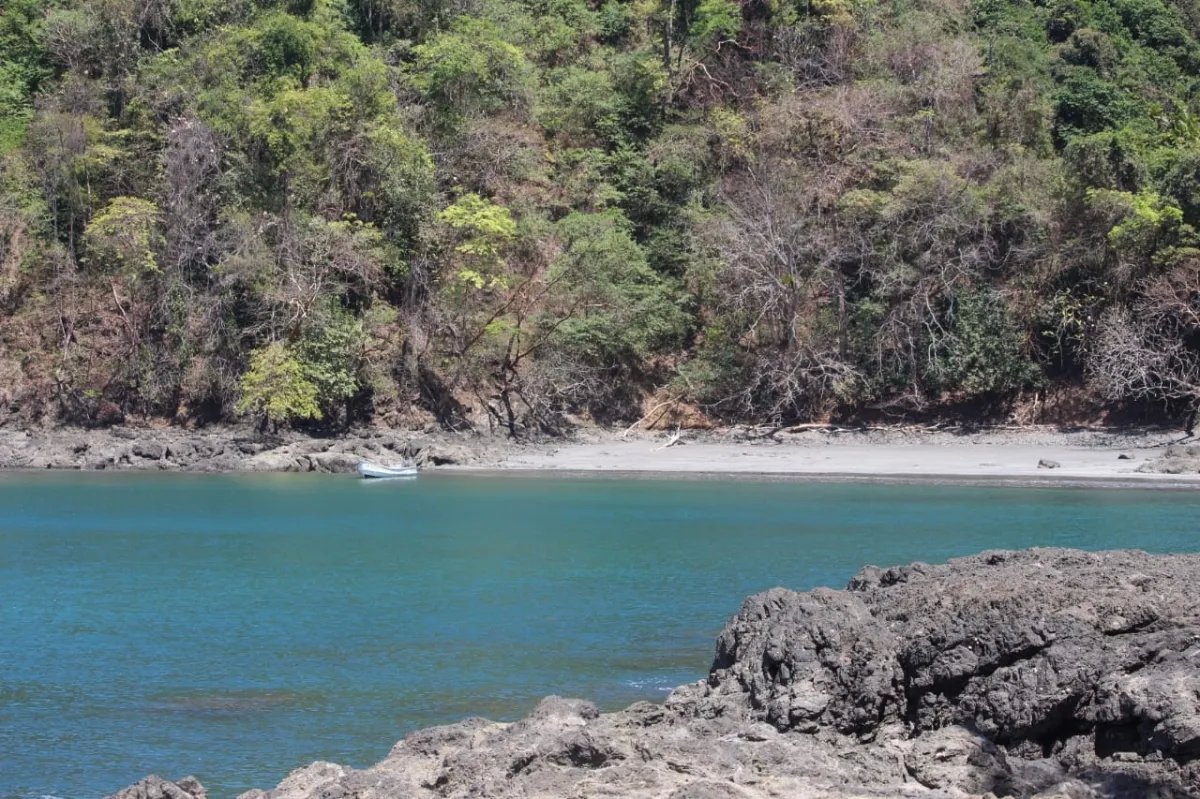 Propiedad en venta de casi 7 hectáreas (casi 17.29 acres), isla de cebaco, frente al mar. veraguas.