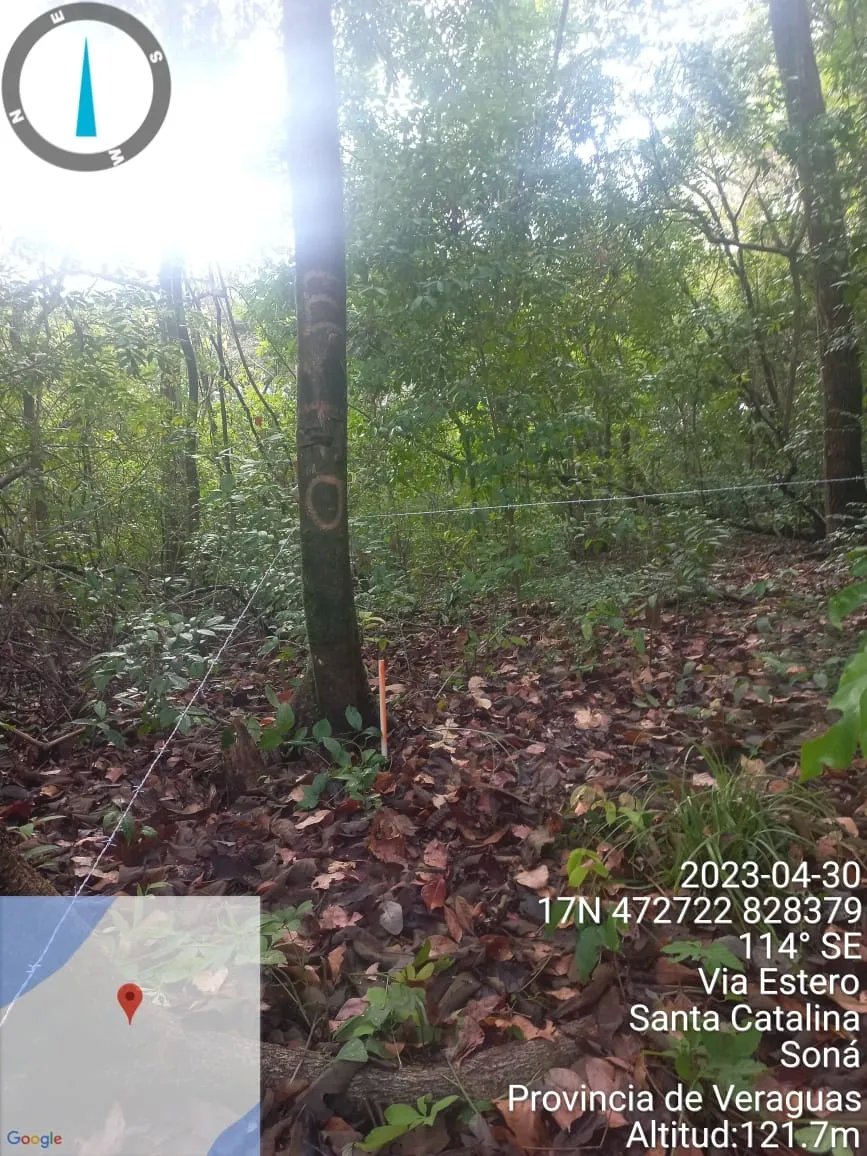 Propiedad en venta de casi 7 hectáreas (casi 17.29 acres), isla de cebaco, frente al mar. veraguas.