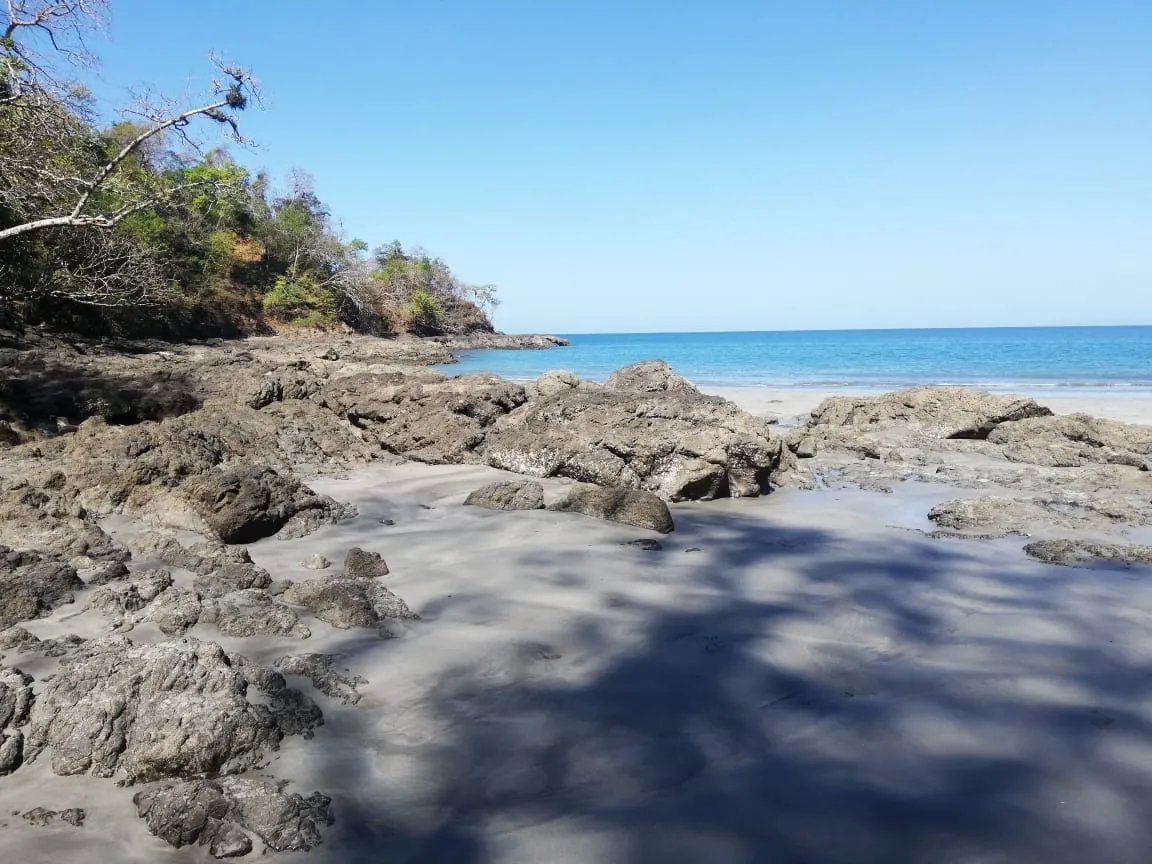 Propiedad en venta de casi 7 hectáreas (casi 17.29 acres), isla de cebaco, frente al mar. veraguas.