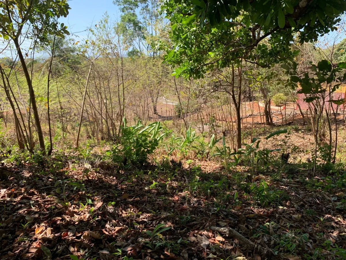 Lote de 1600 metros cuadrados, cerca de la calle principal, farfan-largatero, camino a santa catalina.