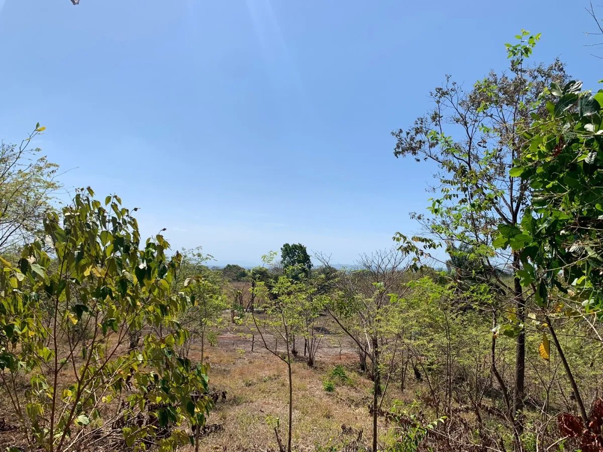 Lote de 1600 metros cuadrados, cerca de la calle principal, farfan-largatero, camino a santa catalina.