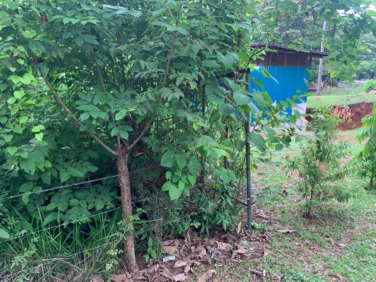 Se vende propiedad de casi 1,000 metros de terreno, en  el centro de santa catalina, veraguas, panamá