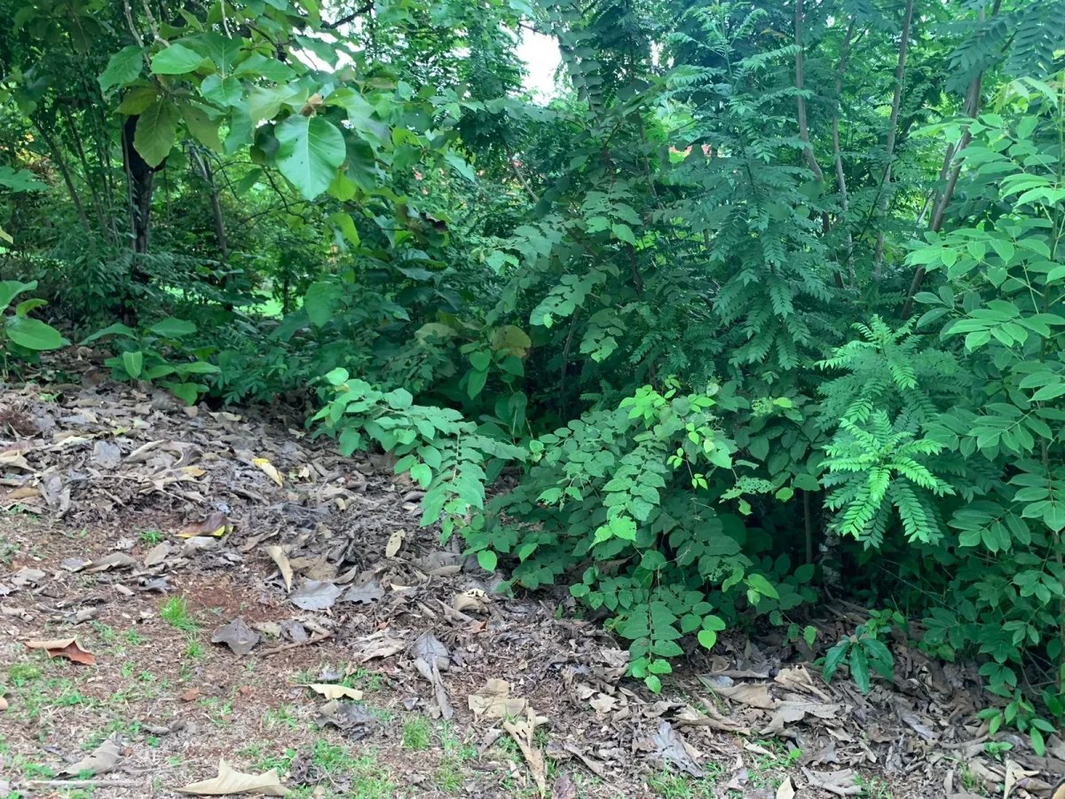 Se vende propiedad de casi 1,000 metros de terreno, en  el centro de santa catalina, veraguas, panamá