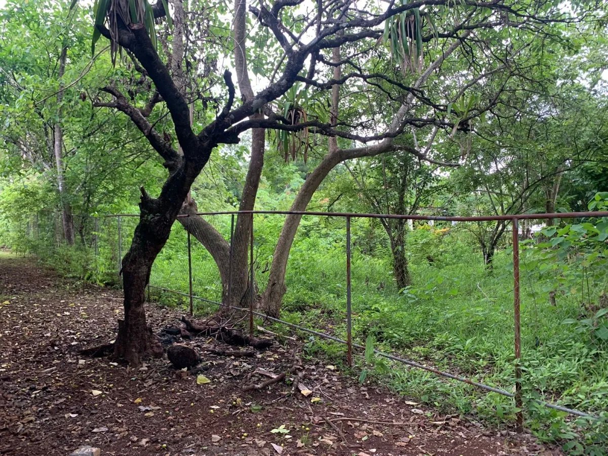 Se vende propiedad de casi 1,000 metros de terreno, en  el centro de santa catalina, veraguas, panamá