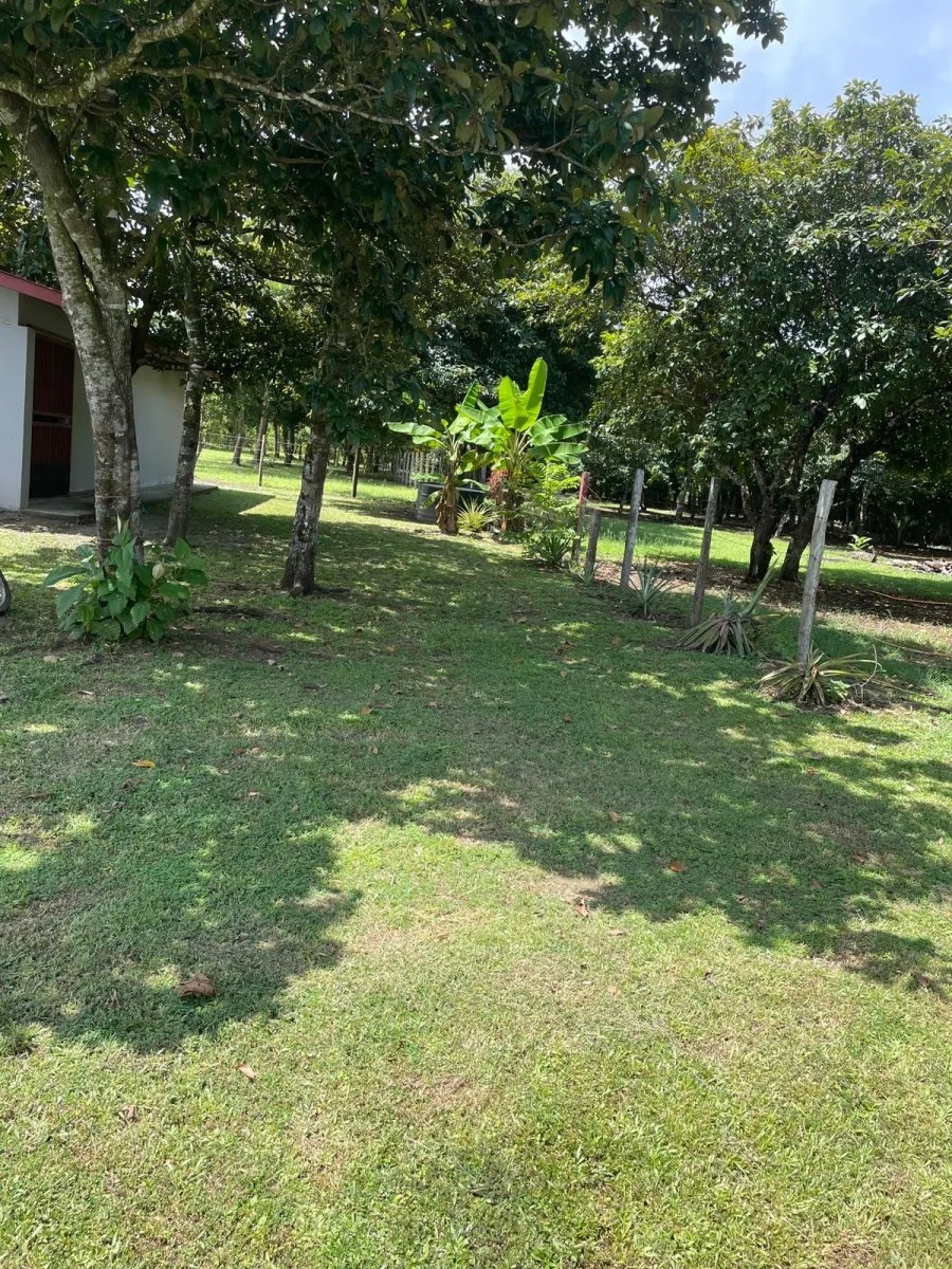 Casa de playa autosuficiente con una hectárea de terreno