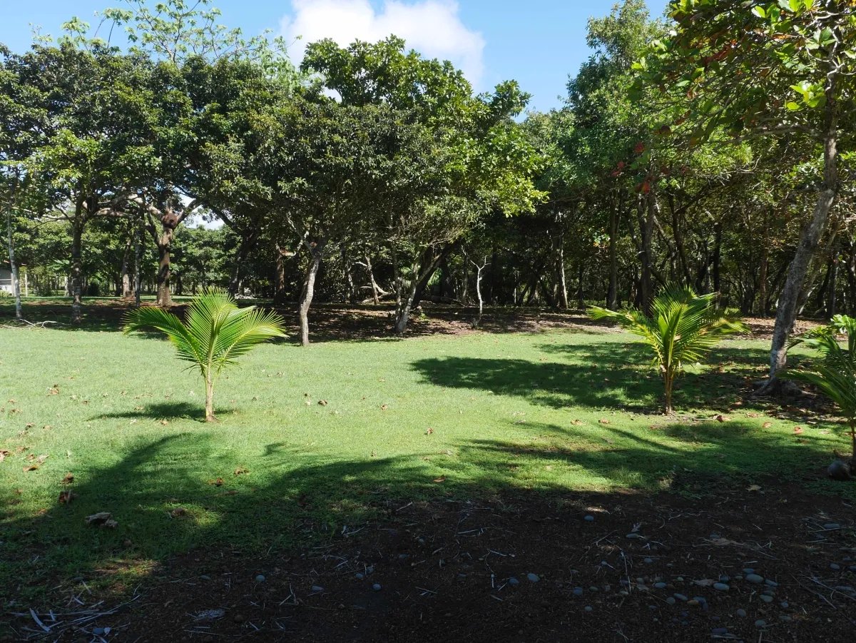 Su casa de playa de lujo en un terreno generoso