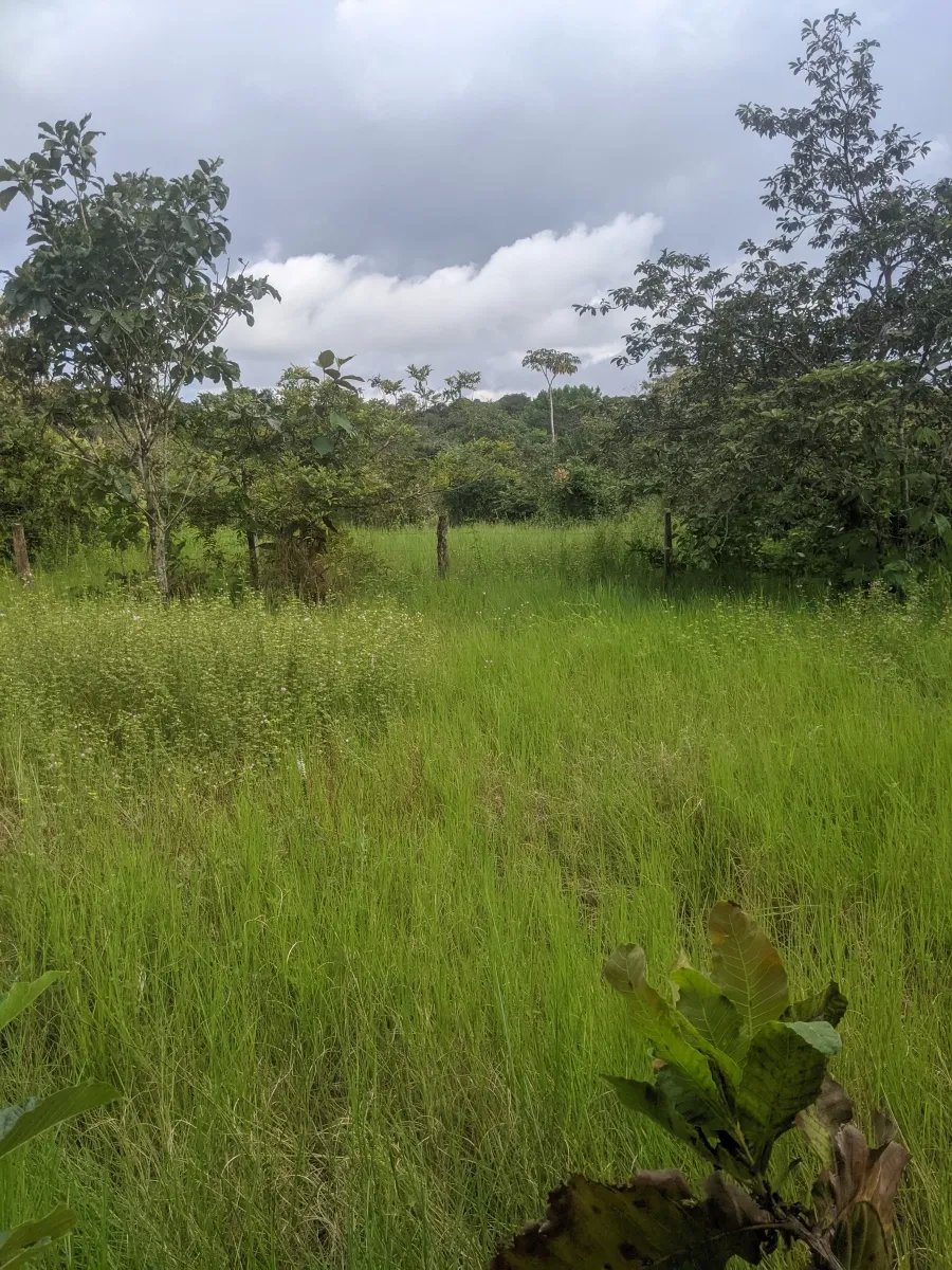 Gran terreno en el pueblo de playa las lajas