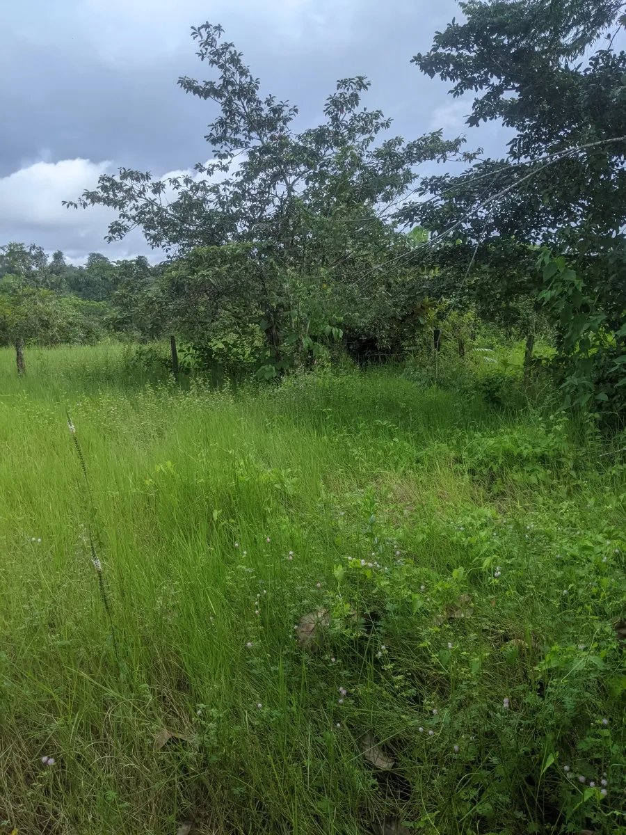 Gran terreno en el pueblo de playa las lajas