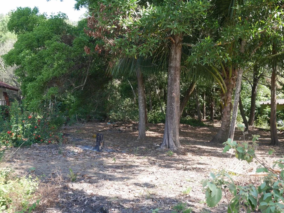 Dos lotes de playa en playa nanzal, san lorenzo, chiriqui