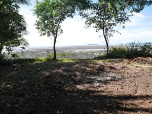 139331 - San Lorenzo - lots