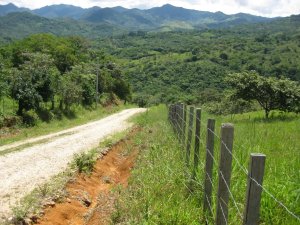 139367 - Santa Fe - lots