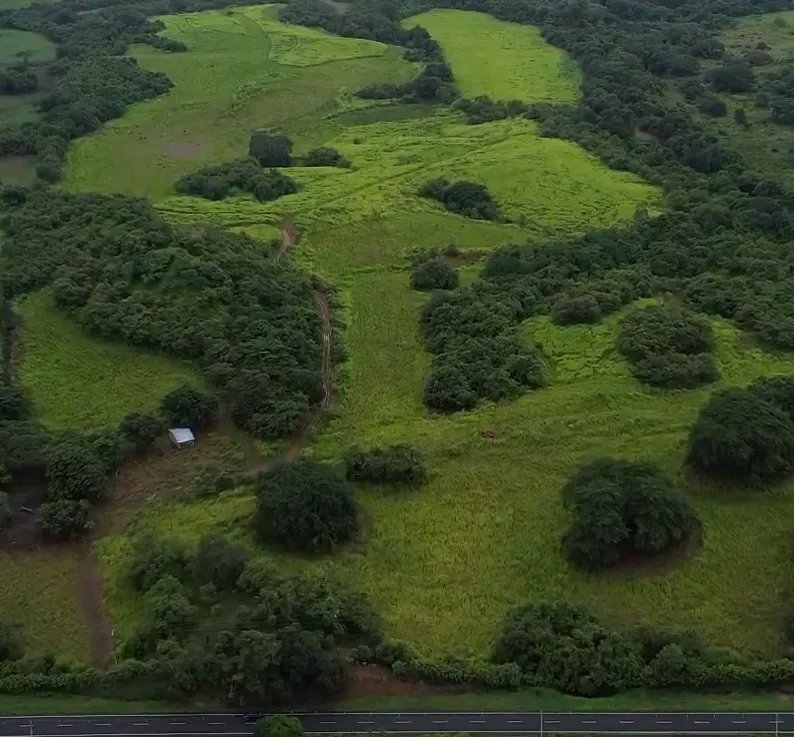 Venta de finca en río salado, los santos
