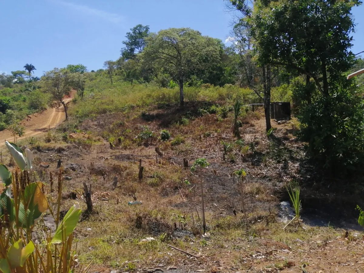 Venta de finca ganadera en veraguas, sector la pifa