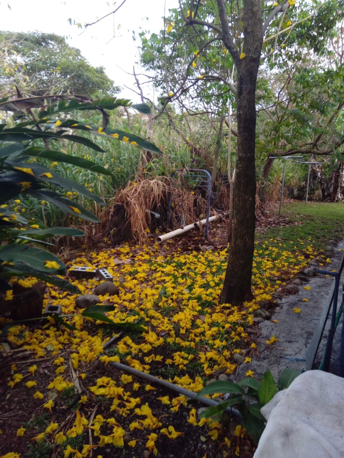 Tranquila y acogedora casa de campo a la venta - negociable/ cozy & quiet country house - negotiable