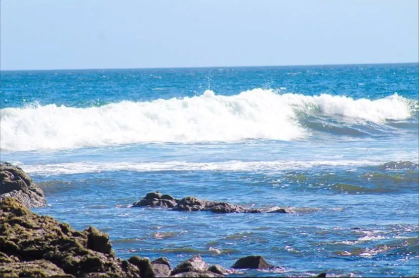 Playa ostional  81 hectáreas con 974m de frente de playa | pedasí, pa...