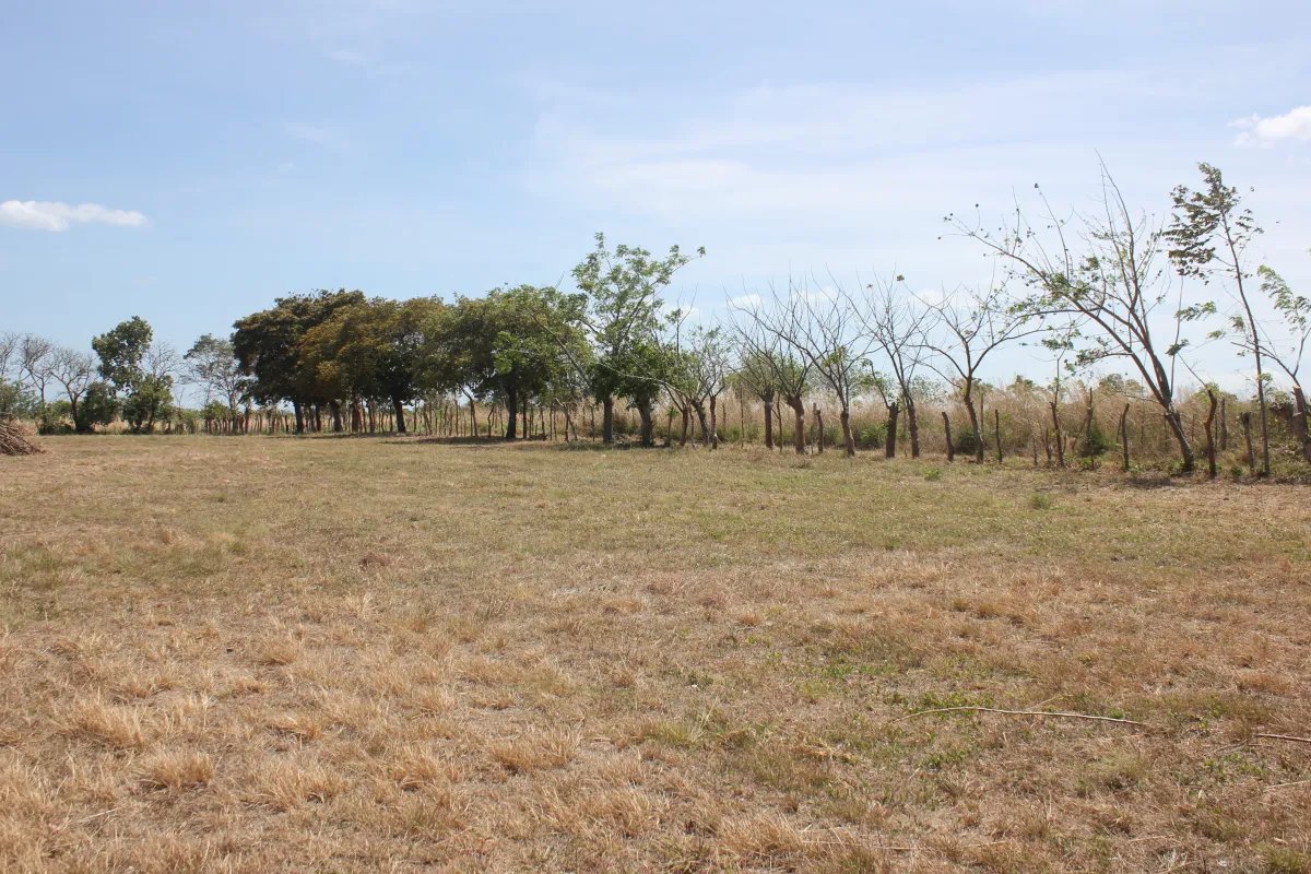 Antón, terreno en venta