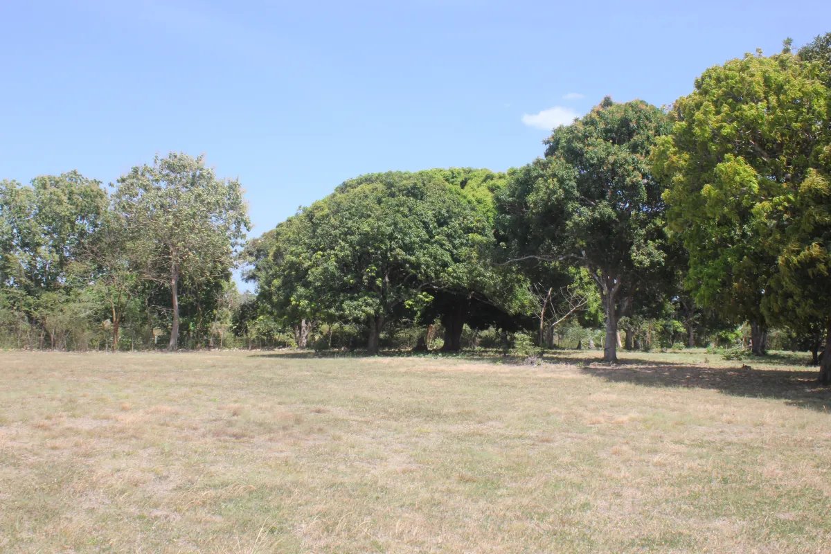 Antón, terreno en venta