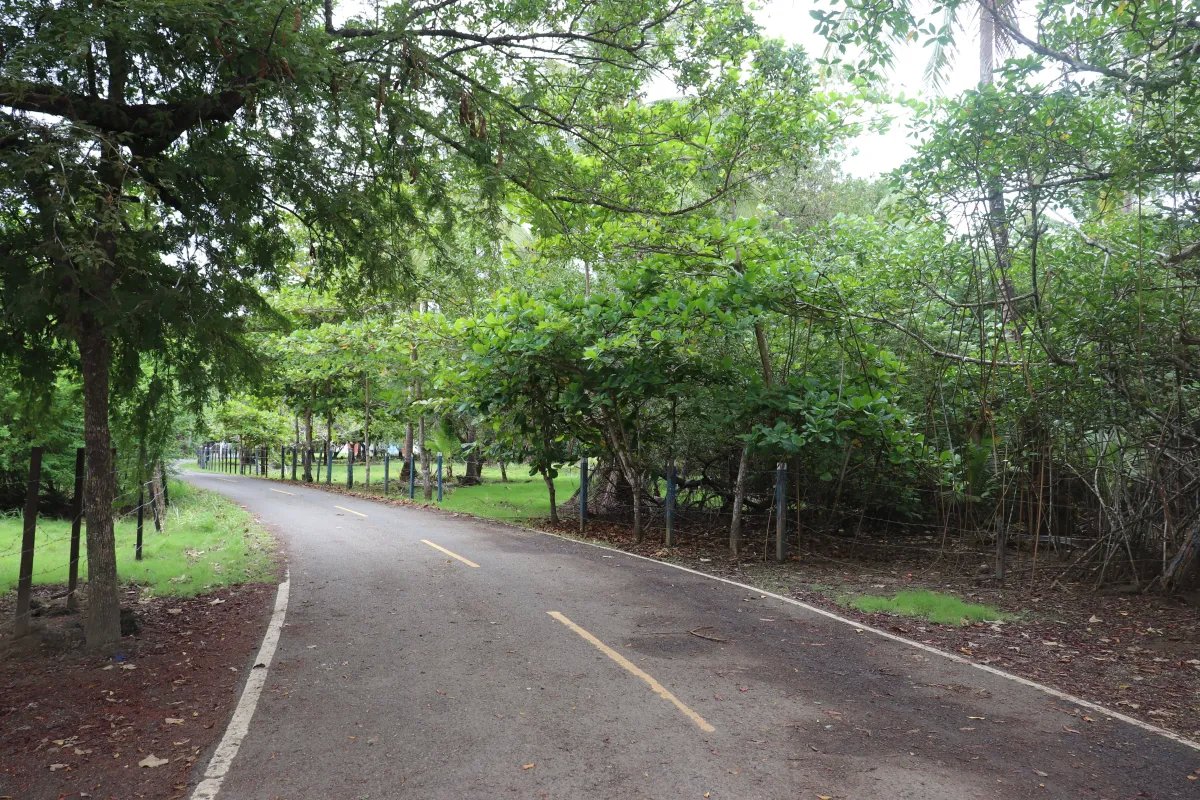 Venta de lote en cañas  cerca de playa venao