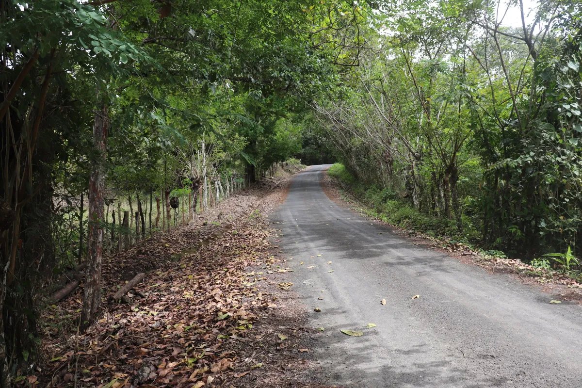 Venta de finca  el loro, vía las tablas / tonosí