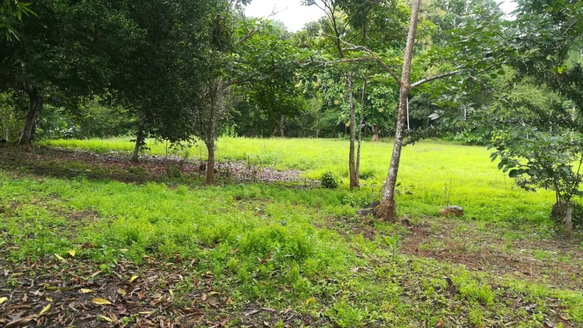 Venta de finca en tolú, los santos