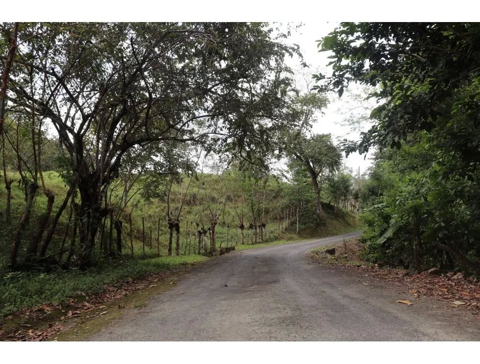 Venta de finca  el loro, vía las tablas / tonosí