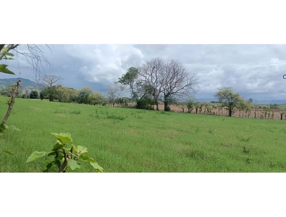 Venta de lote titulado de 1,005 m² en tonosí