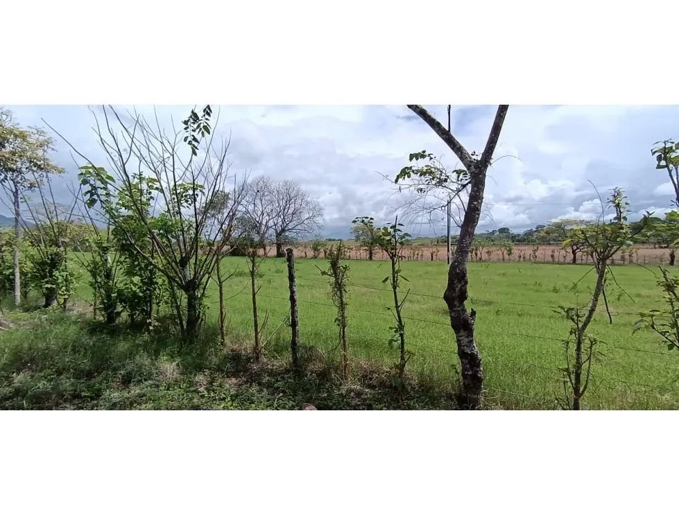 Venta de lote titulado de 1,005 m² en tonosí