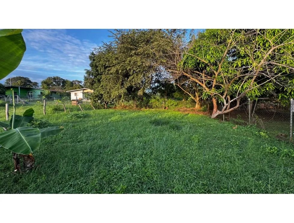 Venta de terreno en la primavera, las tablas.