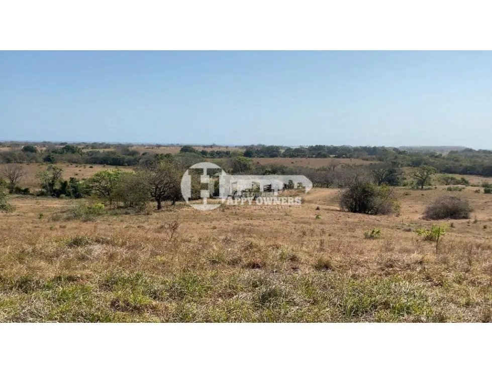Se vende finca de 12 hectáreas, pocrí