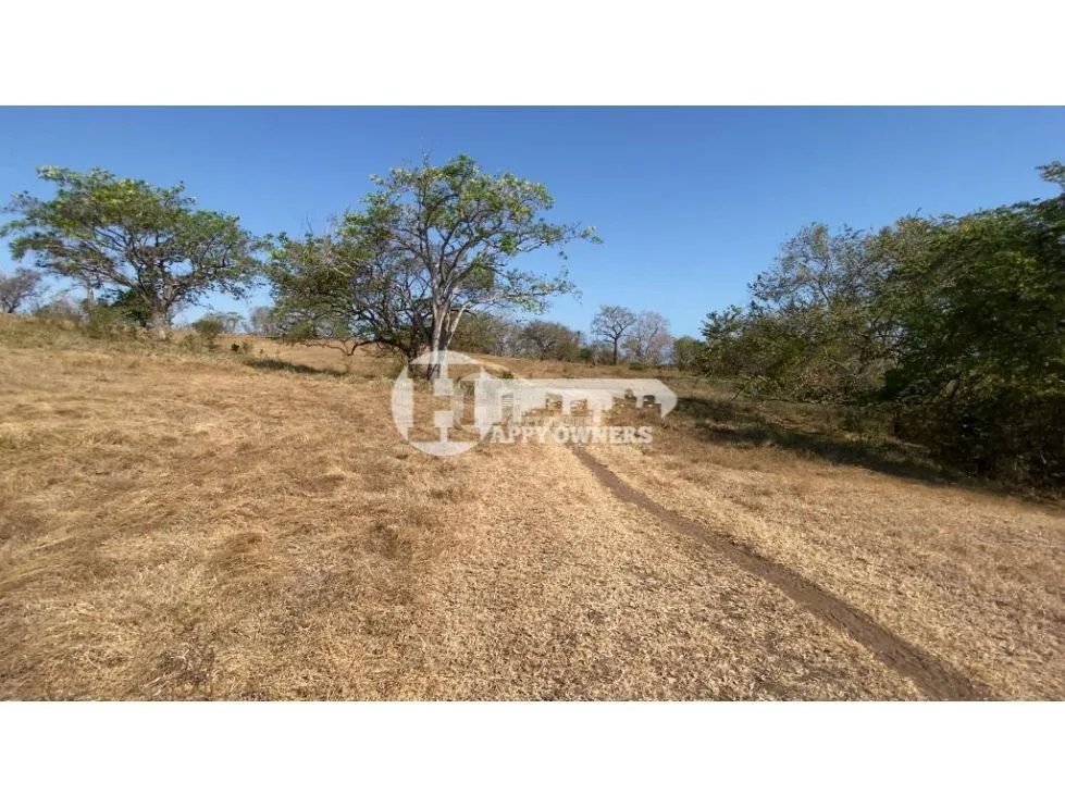 Se vende finca de 12 hectáreas, pocrí