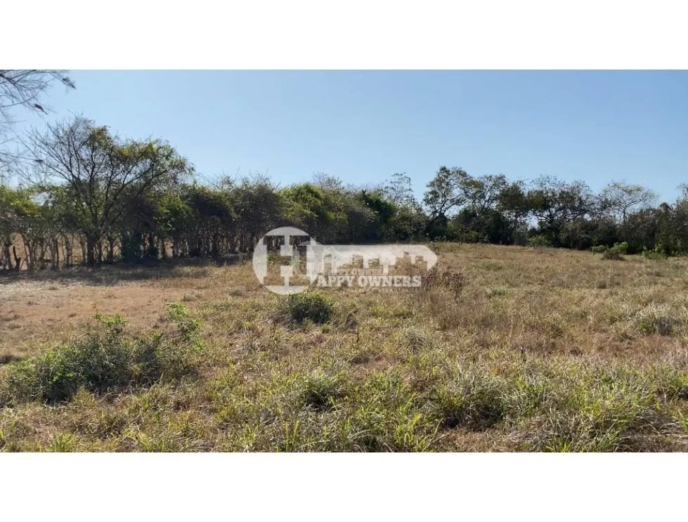 Se vende finca de 12 hectáreas, pocrí