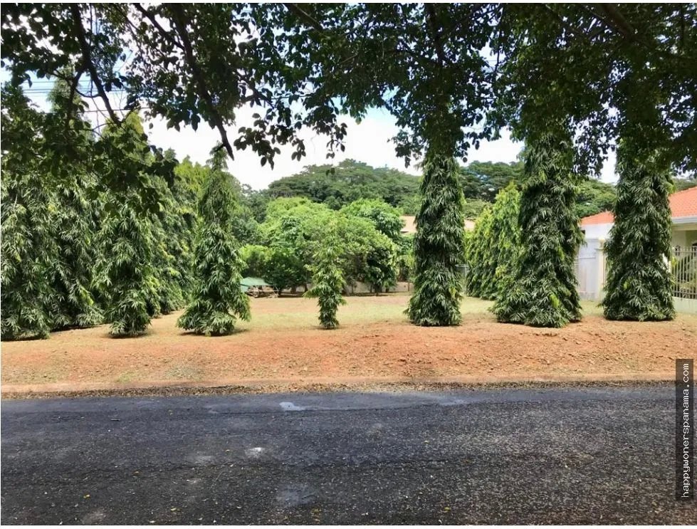 Venta de lote en chitré, herrera.