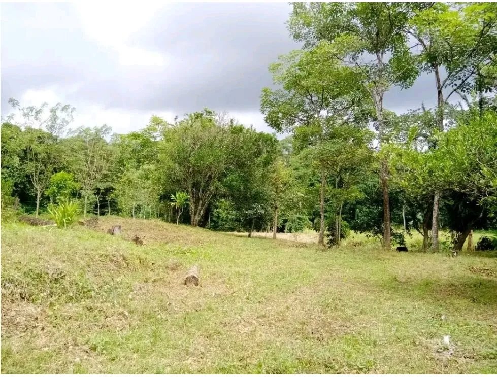 Venta de finca en tolú, los santos