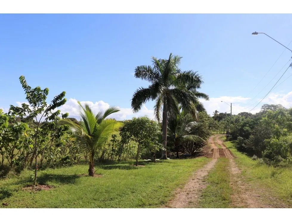 Venta de lote de playa  linda vista, pocrí
