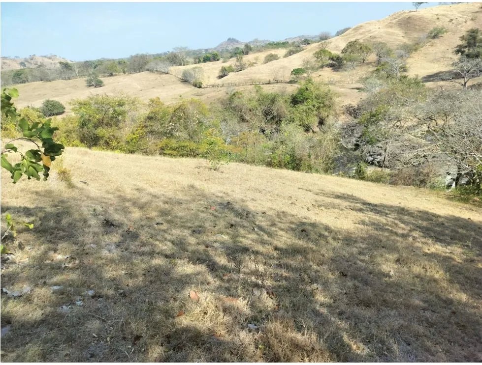 Venta de terreno de 2.2 hectáreas en guararé, los santos