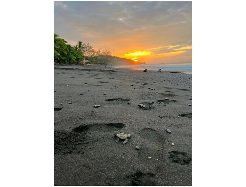 Terreno en venta en tonosí  vía bucaro
