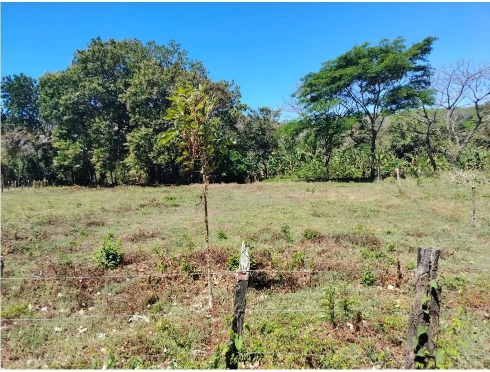 Terreno en venta en playa guánico, tonosí  a pasos del mar